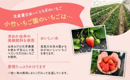 いちご とちあいか 270g×4パック ※2027年1月～発送