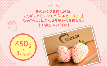 いちご ミルキーベリーセット 450g×1パック ※2027年1月～発送