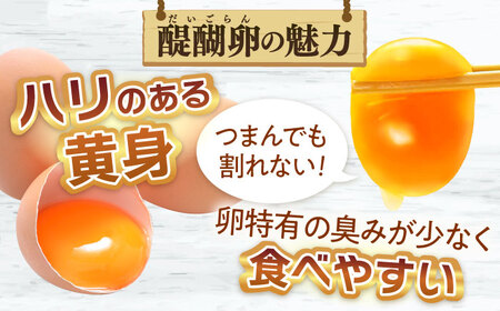 卵 【12回定期便】卵 30個入りMサイズ  [ANAZ006] 卵