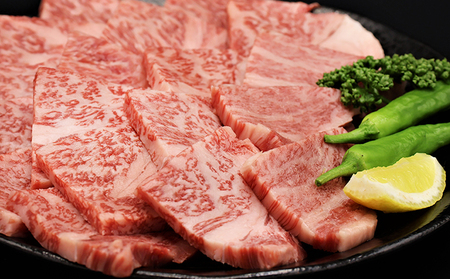 飛騨牛焼肉セット ロース カルビ A5 和牛 飛騨牛焼肉セット【計1kg】