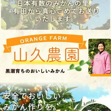 有田みかん 特撰秀 約7kg (Sサイズ)_ZP6108n