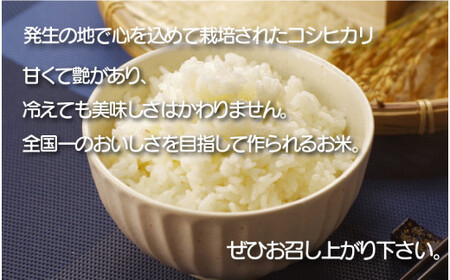 [051-k001] 定期便 無洗米 コシヒカリ 5kg × 12回