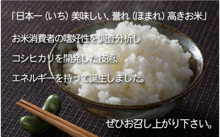 [051-g001] 定期便 無洗米 いちほまれ 5kg × 6回