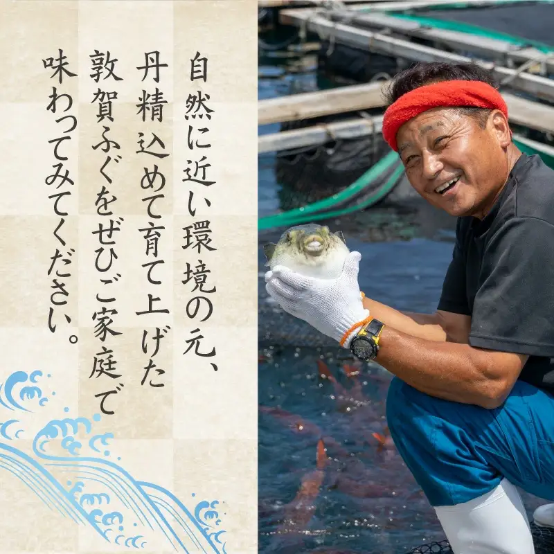 ＜先行予約＞【11月発送】フグ 敦賀ふぐ鍋てっさセット（4～5人用） 【冷蔵 ふぐ刺し 河豚 ふぐ 海鮮 鍋 なべ】