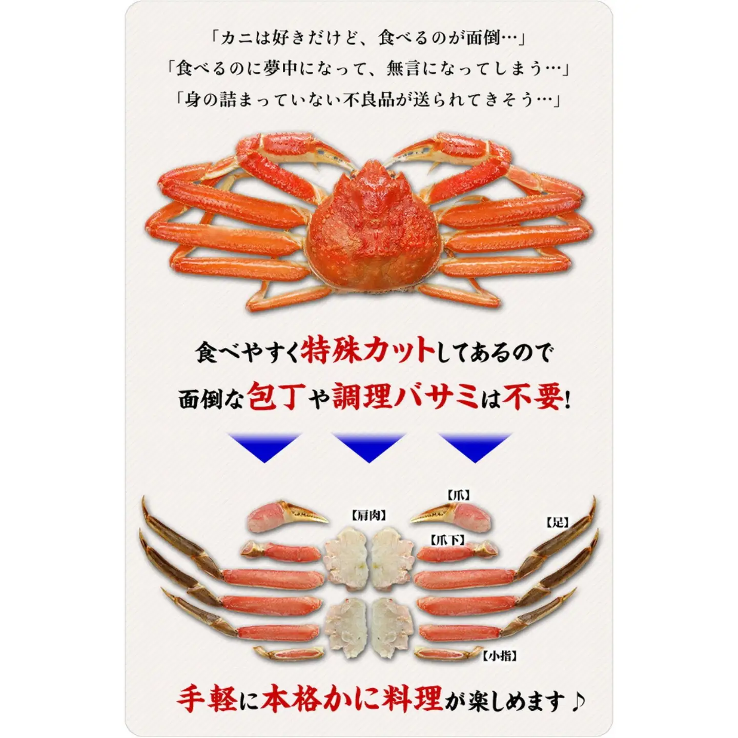 カット 生ずわい蟹 700g×2 [024-b015_fn] かに