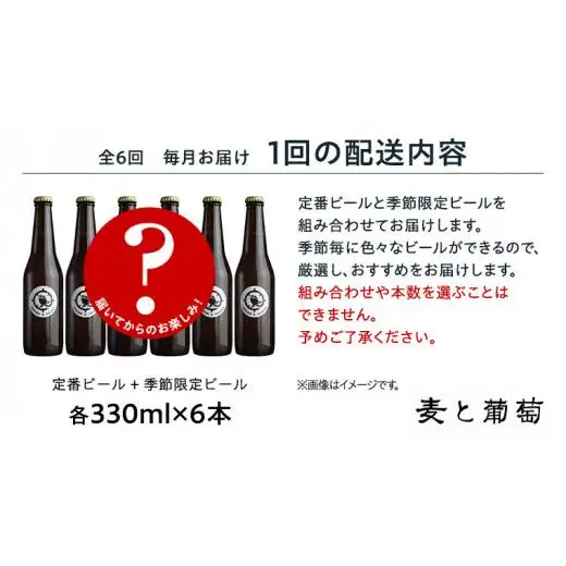 【 6ヶ月連続 】 クラフトビール おまかせ 定期便 6本セット 飲み比べ 茨城県産 牛久醸造場 330ml × 6本