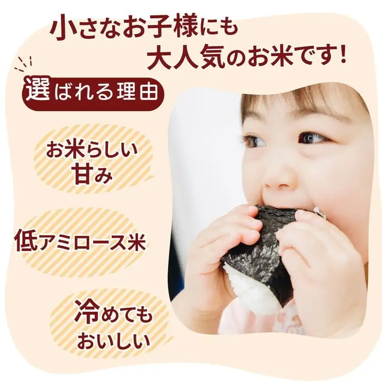 【先行予約】令和8年産 茨城県産 ミルキークイーン 玄米（5kg×1袋） ※2026年10月～発送