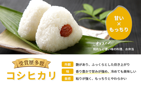 【先行予約】【令和7年産】 定期便 ≪6ヶ月連続お届け≫ 乳酸菌入りの土壌で育てた 福井県 坂井町産 特別栽培米コシヒカリ 5kg (白米) 【2025年10月上旬以降順次発送予定】 [F-4806_01]