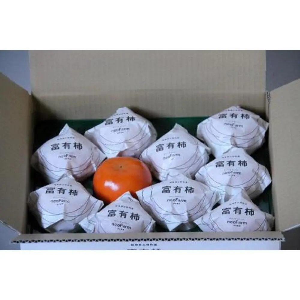 【特選品】岐阜県大野町産 富有柿 3L 10個入り【2026年11月下旬～発送】 富有柿
