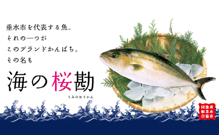 C3-0102／垂水カンパチ『海の桜勘』　まるごと１尾（内臓処理なし）