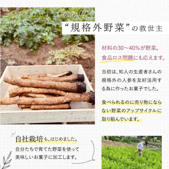 【月1回8袋×3回定期便】 やさいのカリカリ 計24袋 長崎 西海市 やさいのカリカリ お菓子 カリカリ スイーツ＜村の菓子工房＞ [CAH002]