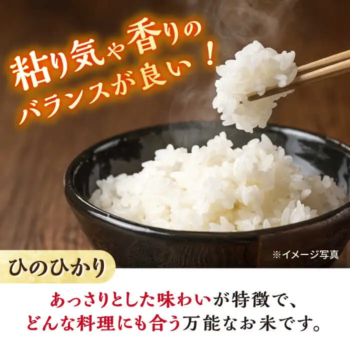ヒノヒカリ 白米 10kg CBR004 白米