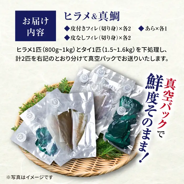 土日配送 ヒラメ と 真鯛 堪能セット[CBW004] ヒラメ 真鯛