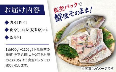 土日お届け シマアジ 堪能6点セットCBW012 アジ