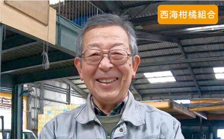  訳あり 西海1号 温州みかん 10kg 優品 Sサイズ みかん CCF002