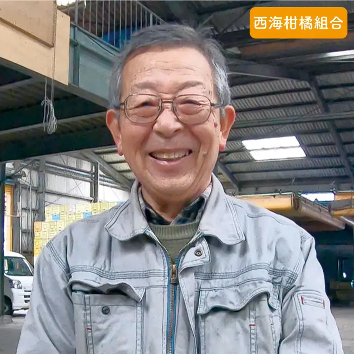訳あり 温州みかん 5kg 優品 みかん CCF003