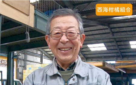 先行予約 秀品 西海1号 温州 みかん 5kg  Sサイズ みかん CCF006