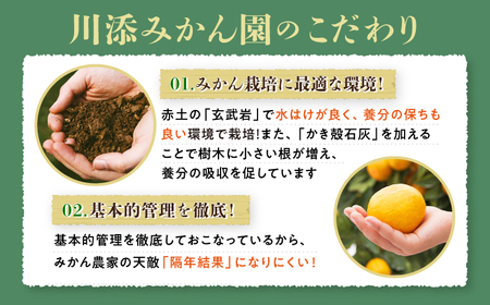 先行予約 石地みかん 優品 4kg CCT005 みかん ミカン