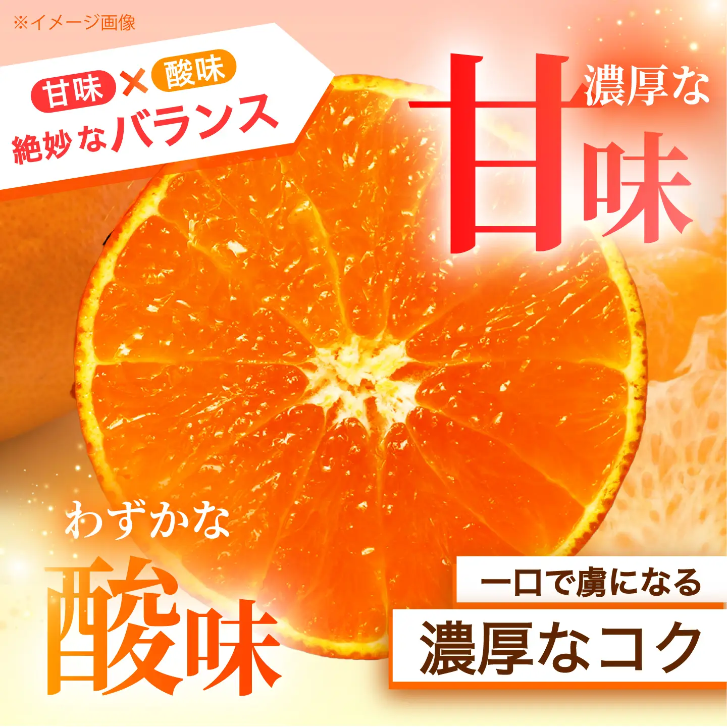原口みかん 約5kg [CCZ004]  みかん
