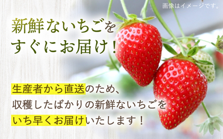 ゆめのか いちご 1kg [CDR009] いちご