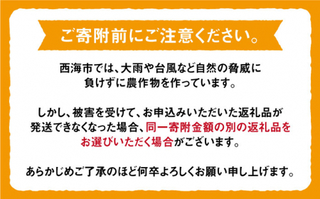 みかん 西海市 【 訳あり 】 原口みかん 約5kg 西海市 贈答 ギフト 家庭用 みかん＜中尾果樹園＞ [CEL007]