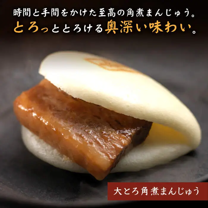 【12回定期便】【☆贅沢詰め合わせ☆】 角煮まんじゅう 8個＆ 大とろ角煮まんじゅう 8個  角煮まん 角煮 長崎 惣菜 簡単調理 贈答 ギフト 贈り物 ＜岩崎本舗＞ [CFE034]