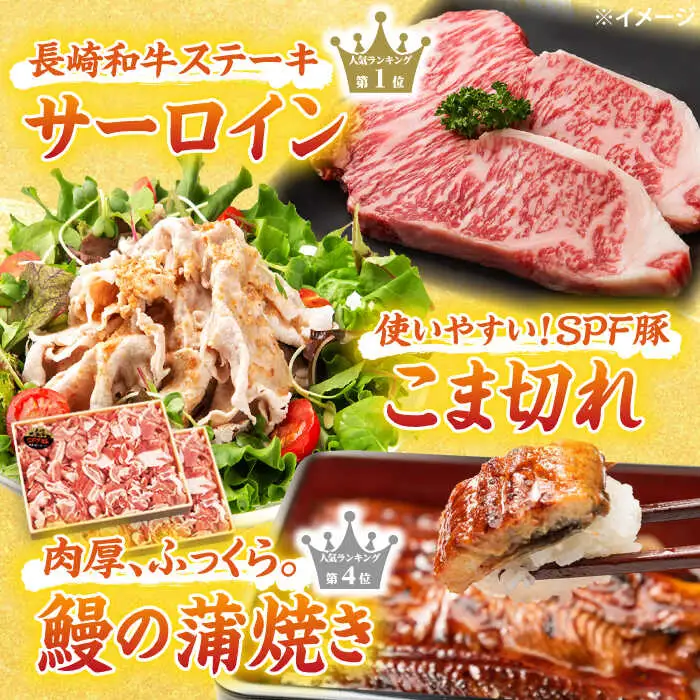 6回定期便 上位人気 西海の宝物定期便 | CZZ024 定期便