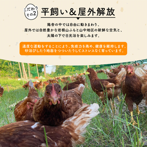 定期便 平飼い有精卵 滋賀竜王卵 20個 × 6ヵ月 ※割れ保証各3個 ( こんもり盛り上がるプルプルな卵白 滋賀竜王卵 新鮮 平飼い 卵 純国産 鶏もみじ 大人気 たまご 鶏卵 卵黄 エッグ 希少 たまごかけ ご飯 玉子 タマゴ 玉子焼き たまご焼き すき焼き 鶏 ケーキ 産地直送 国産 滋賀県 竜王町 ふるさと納税 )