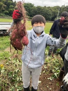 生芋　20kg　S～Lサイズ混合　2箱 いも長 ｜ さつまいも いも 生いも 紅はるか 国産 ※離島への配送不可 ※2025年12月下旬頃より順次発送予定