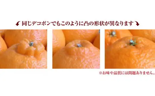  デコ不知火 約2.8kg サイズおまかせ / デコポン 不知火 みかん 蜜柑 柑橘 果物 フルーツ 紀伊国屋文左衛門本舗 ※2027年2月上旬～4月上旬頃順次発送予定(お届け日指定不可)　【kmtb010-r-2d8】