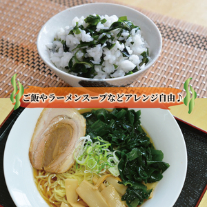 塩蔵わかめ 500g 100g×5袋 わかめ 海鮮 海藻 魚貝類 魚介類 小分け みそ汁 スープ 酢の物 三陸産 岩手県 大船渡市