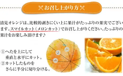  田村 産 清見 オレンジ 4.5kg 春みかん (果実サイズおまかせ) / 清見オレンジ 蜜柑 みかん 柑橘 フルーツ 果物紀伊国屋文左衛門本舗 ※2027年3月中旬～4月下旬頃発送予定 【kmtb492A】