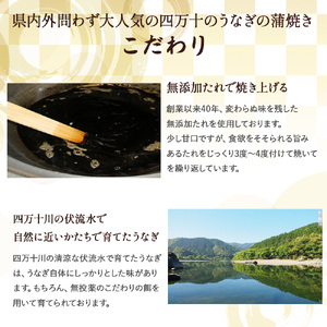 四万十のうなぎ蒲焼（3人前） 冷凍 特大 たれ付き うなぎ うなぎ蒲焼 高知うなぎ 国産うなぎ うな重 鰻 国産鰻 高知鰻 冷凍鰻 鰻蒲焼 四万十うなぎ ／Ess-B07