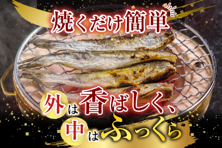 【北海道根室産】一夜干しこまい200g×5袋 A-30012
