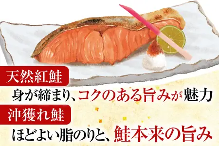 甘塩紅鮭5切×2P、甘塩沖獲れ鮭5切×2Pセット A-36007