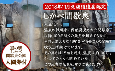 蒸し釜体験 3名様分 ほたて饅 道の駅しかべ間歇泉公園 入園券付 体験型チケット