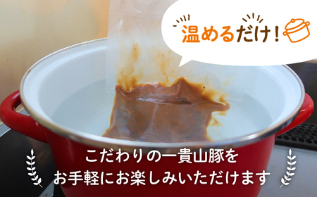 【全6回定期便】一貴山豚 とんバーグ 12個（ 6個 × 2種 ） 糸島市 / いきさん牧場 [AGB014]