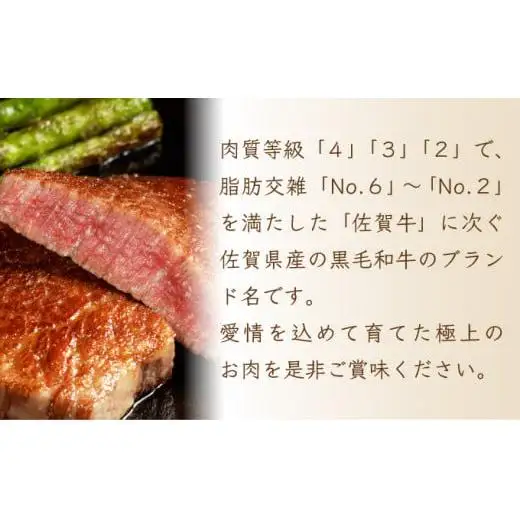 【佐賀産和牛】ハンバーグ 120g×10個  D-607