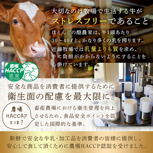 近藤牧場のミルクジュレ（120g×12個） mi0003-0011