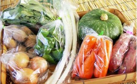 南房総産とれたて野菜ボックス mi0012-0130