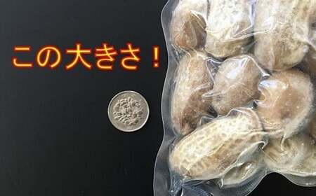 落花生 千葉県産 茹で落花生 おおまさり おつまみ つまみ ピーナッツ 豆 mi0012-0132
