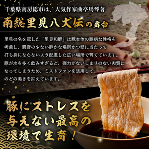 里見和豚　小分け　挽肉800g（100g×8パック）個別包装　トレイ不使用 mi0017-0007 ひき肉 ﾐﾝﾁ 豚 肉