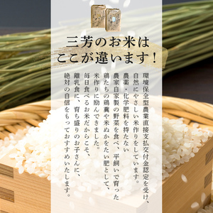 【2023年産】環境保全型コシヒカリ 玄米　5kg mi0036-0011