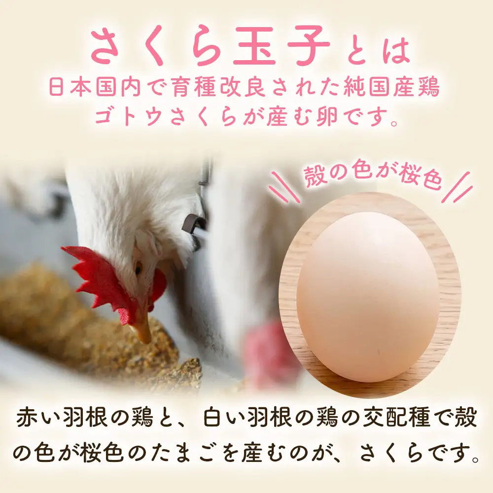 純国産鶏さくらちゃんが産んだ桜色のさくら玉子の五分咲き60個◇