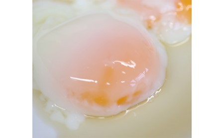 杉山養鶏場の人気商品の詰め合わせ（小）◇ | 卵 たまご 玉子 10000円 1万円以内