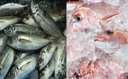 房州の地魚　出汁茶漬け4種詰合せ mi0045-0019