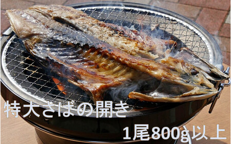特大サバの開き（800g×1P） mi0069-0005