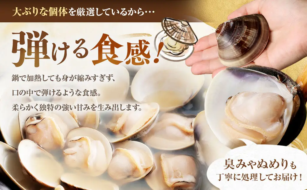 【おまけ約100g】日の出 桑名産 天然はまぐり鍋セット（出汁付）約2人前 蛤 ハマグリ 魚介 貝 魚貝 活はまぐり 海鮮 だし 無添加