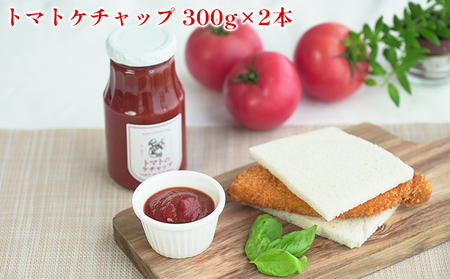 トマトソースセット トマト専門農家 特製 トマトソースセット