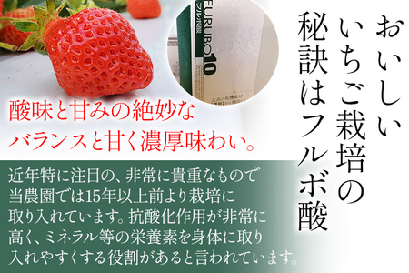 荒巻エコタロウ農園のぜいたく定期便（あまおう約300g×3回）【2026年2月～3月】　BJ08